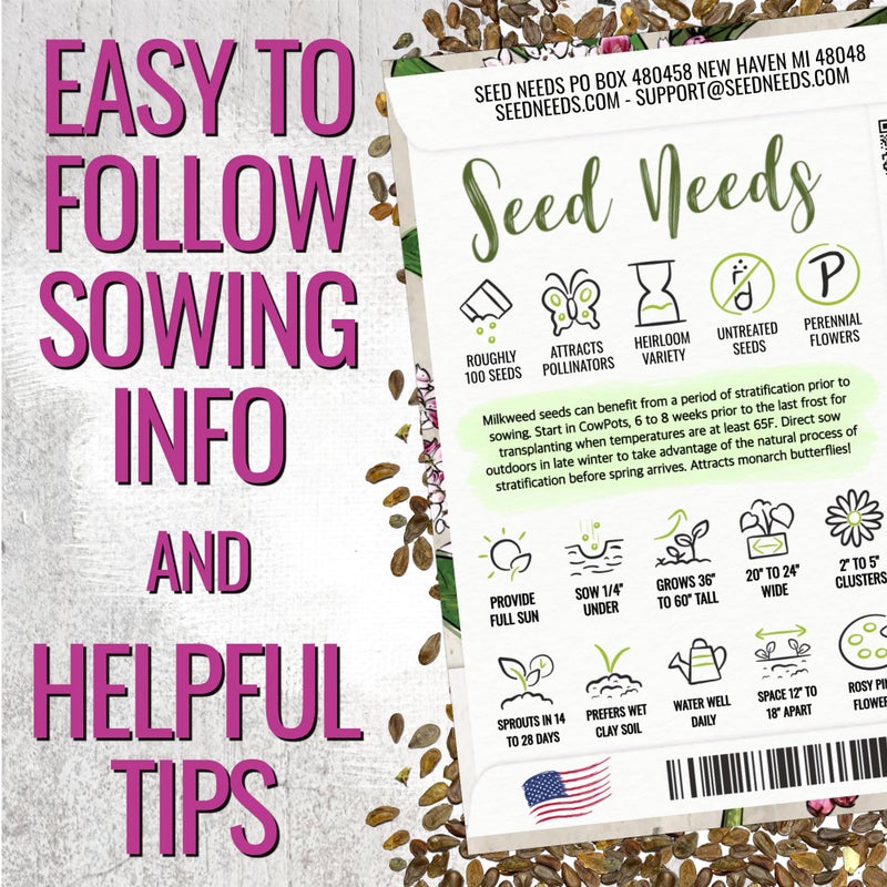 Seed Needs Pink Swamp Milkweed Seeds for Planting - Heirloom & Untreated - Grow a Butterfly Garden to Attract Monarch Butterflies & Pollinators (2 Packs) - Image 3